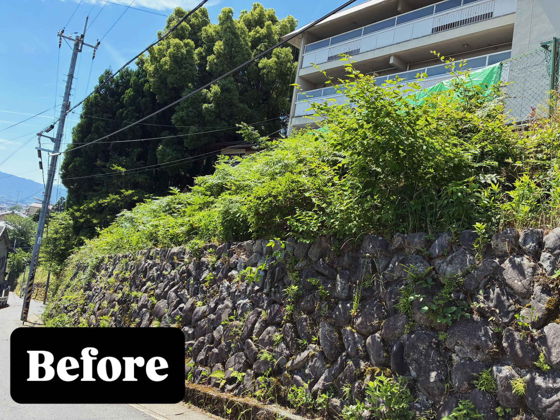 石垣　草刈り