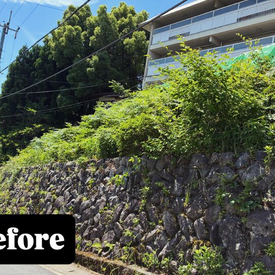 画像2331：法面　草刈り