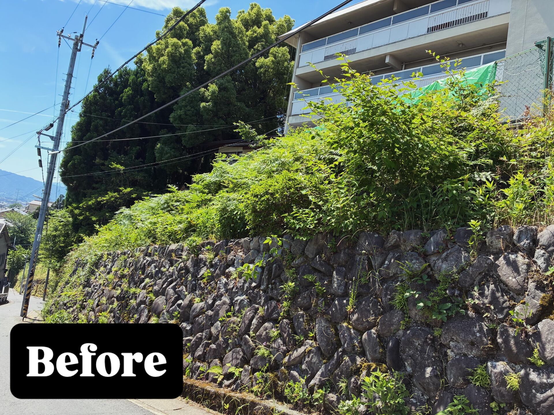 法面　草刈り