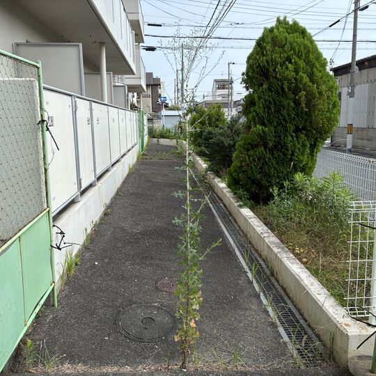 画像2559：草刈り・伐採