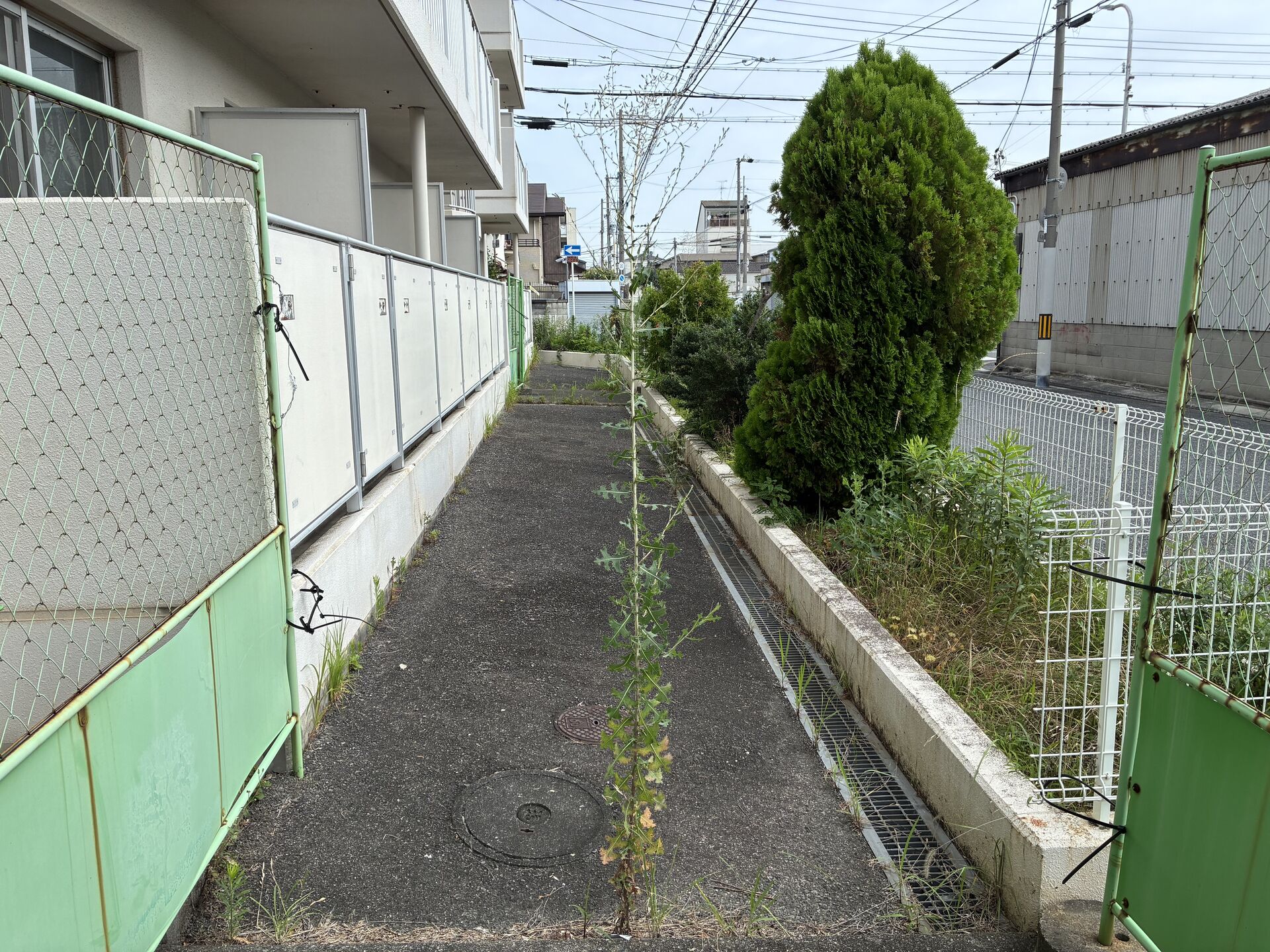 草刈り・伐採