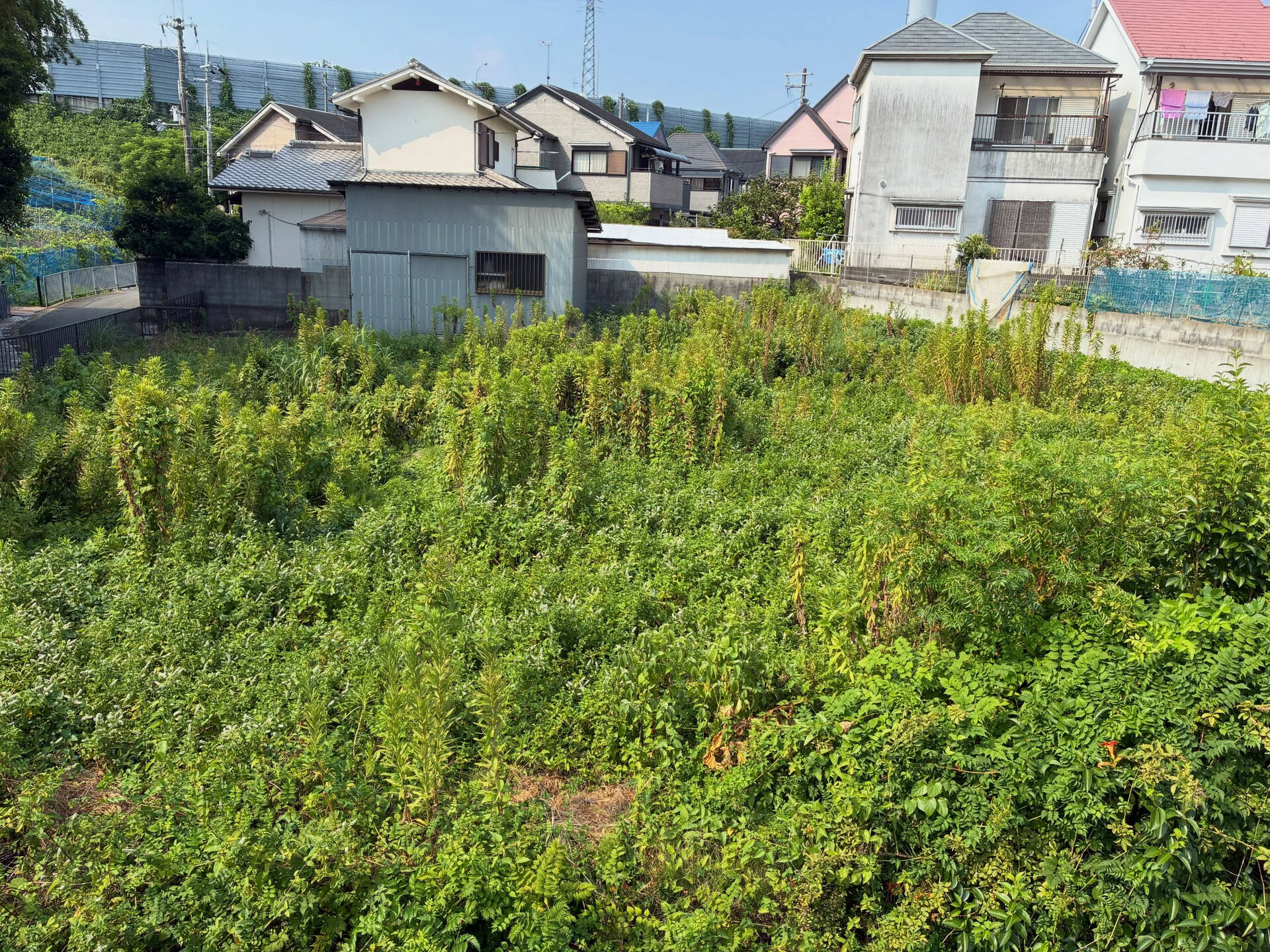 放置されていた空き地の草刈りのご依頼です