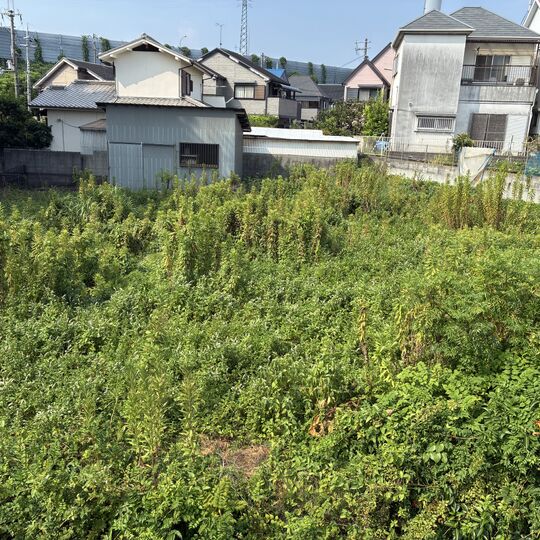 画像2943：空き地　草刈り