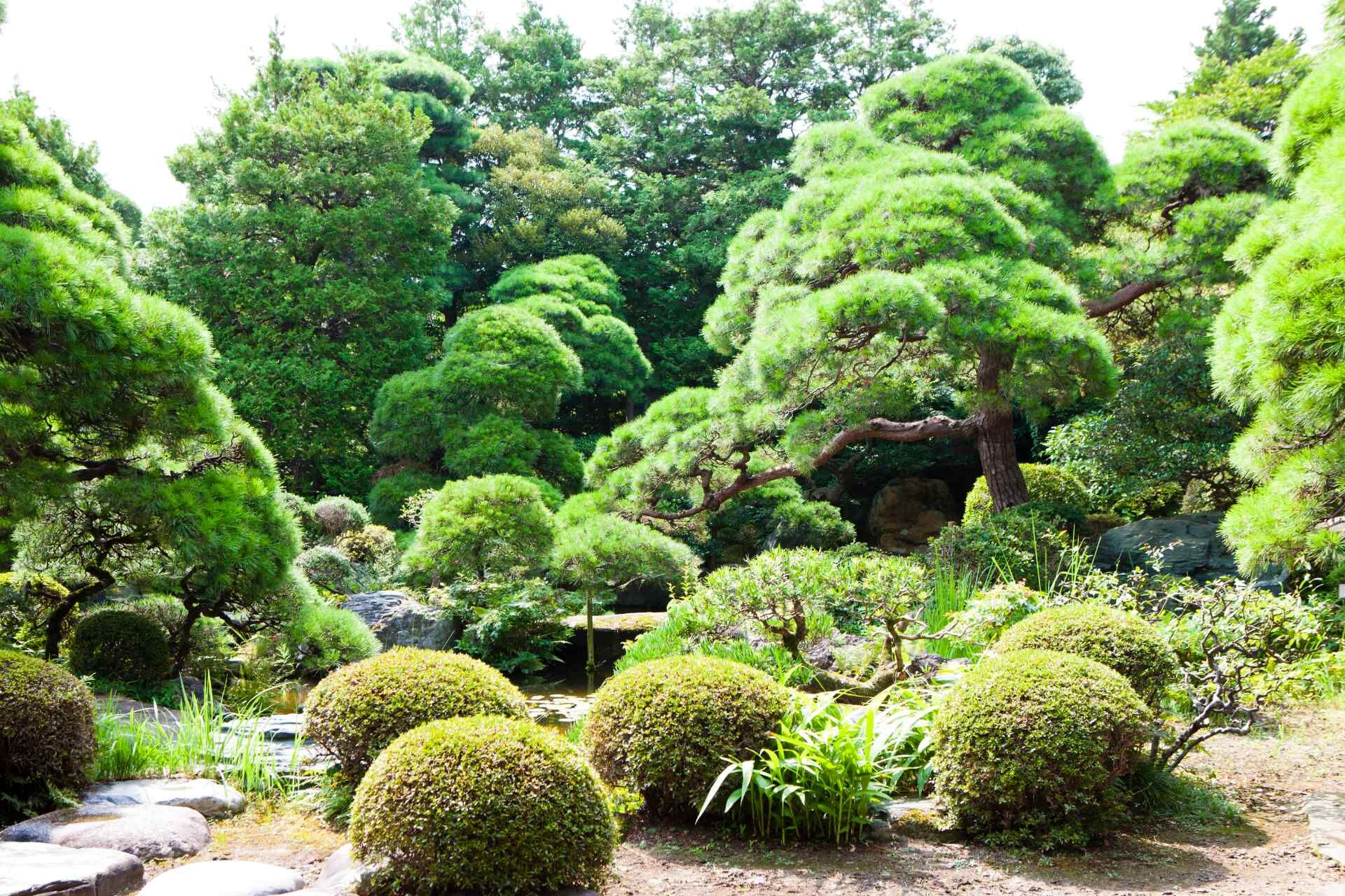 管理