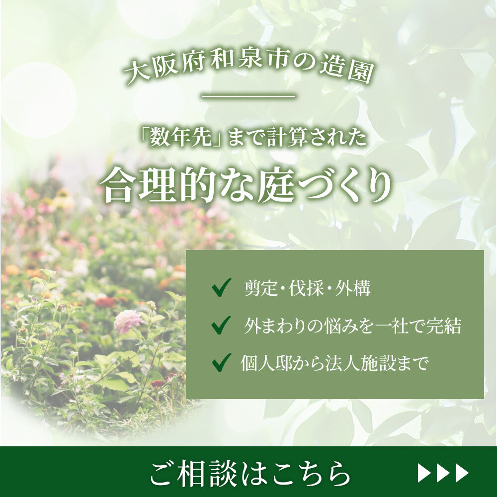 modal_banner